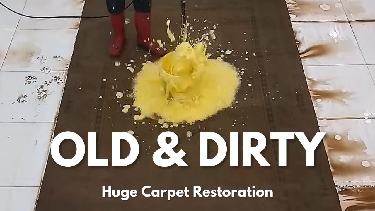 Huge Carpet Restoration - Deep Cleaning Hydro ASMR