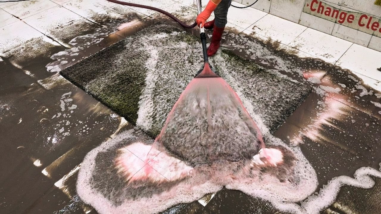 Deep Clean for Dirty Shaggy Carpet – Best Method