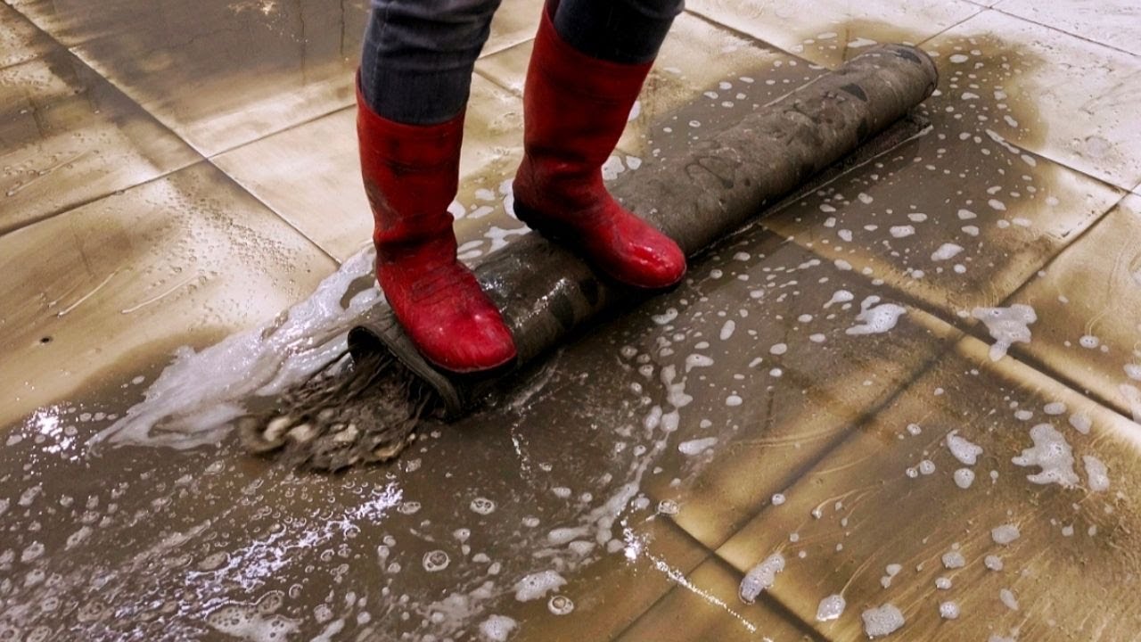 New Carpet Cleaning – Satisfying Video