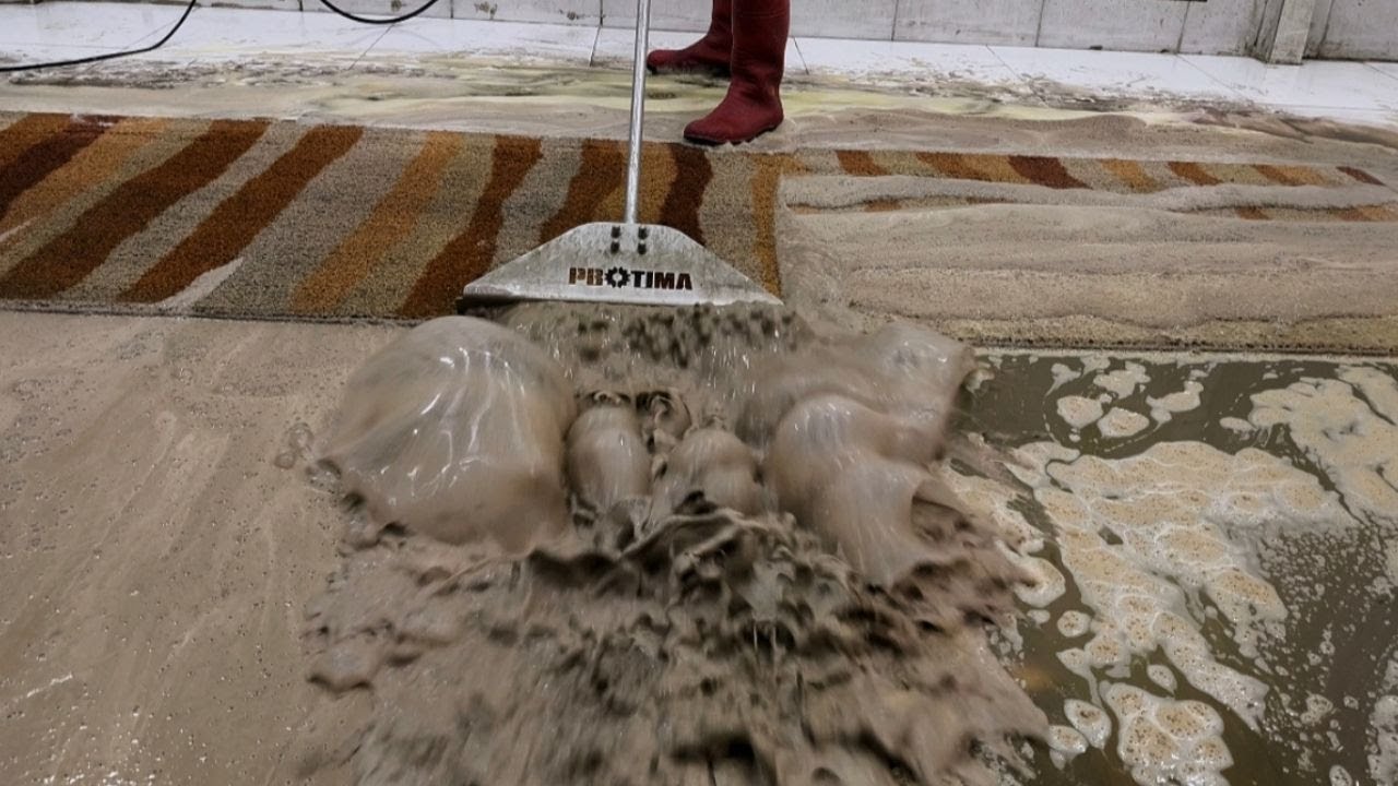 Extra Long & Extra Dirty Carpet Cleaning ASMR