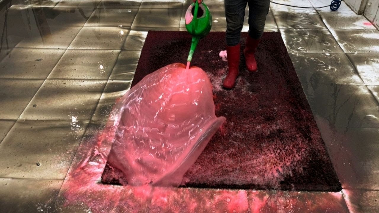 Shaggy, Centrifuge & Lots of Scrape – Extreme Carpet Cleaning ASMR