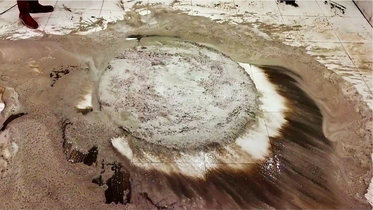 Dirtiest Round Rug Cleaning ASMR