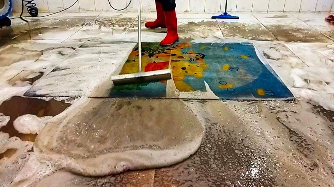 Extremely Cute Dirty Carpet – Satisfying Cleaning ASMR