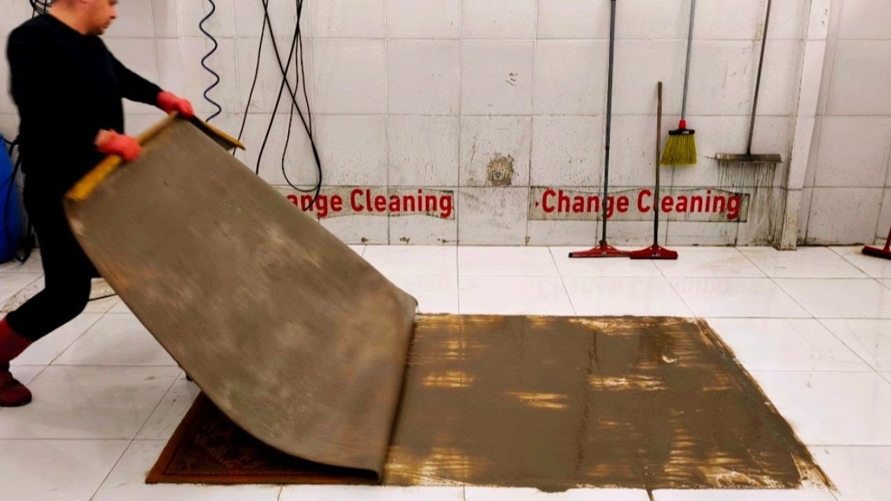 Satisfactory Cleaning of Every Inch of the Carpet – ASMR