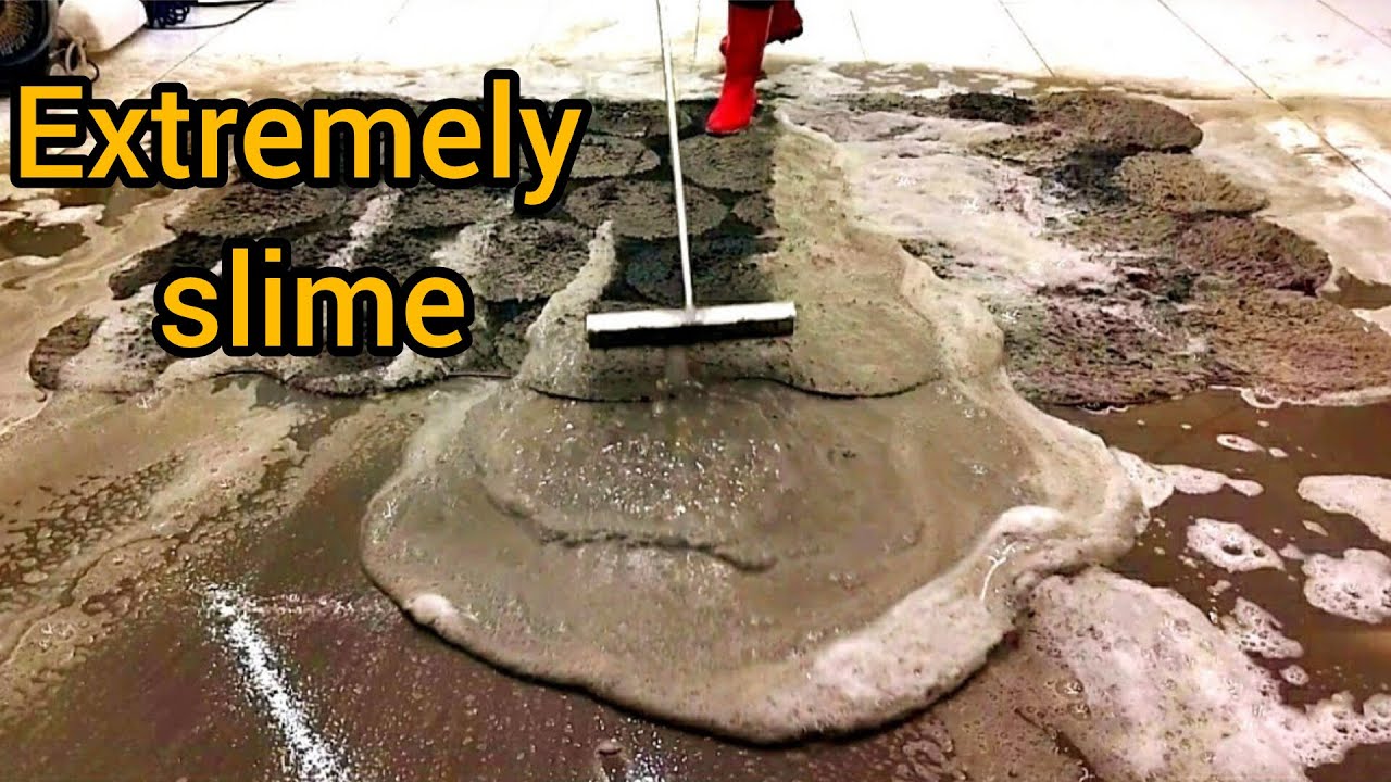 Extremely Filthy Full Wretched Carpet Cleaning – Satisfying ASMR