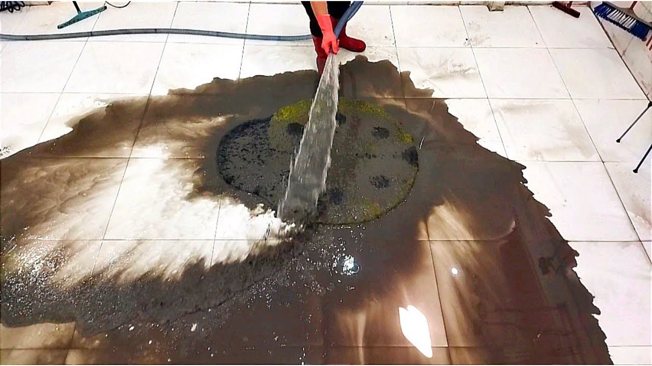 The Cutest and Hardest Dirty Carpet Cleaning – Satisfying ASMR