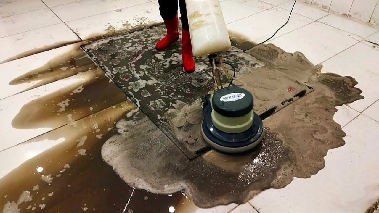 Heavy Flood Damaged Carpet Cleaning – Satisfying ASMR