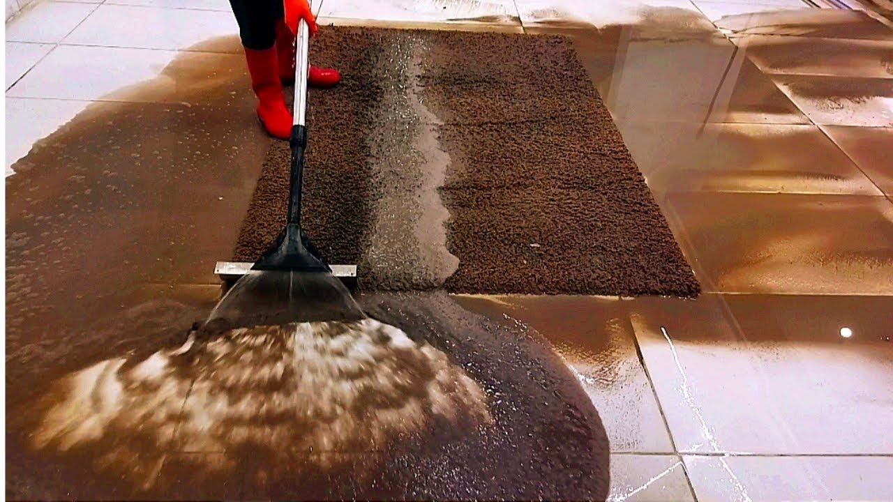Disgusting Smelly Carpet Cleaning – Satisfying Rug Cleaning ASMR