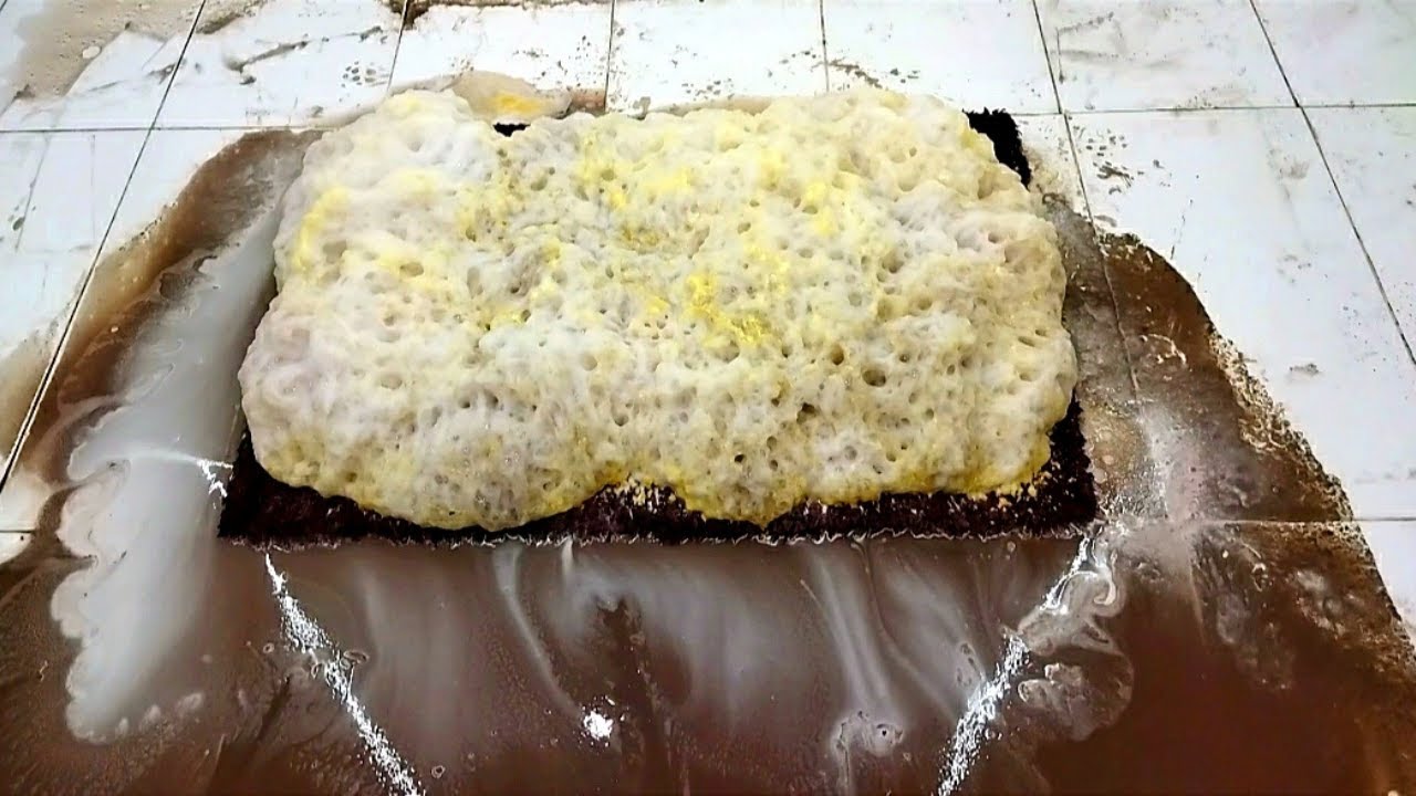 New Method Against Excessive Dirt II – Satisfying Carpet Cleaning ASMR